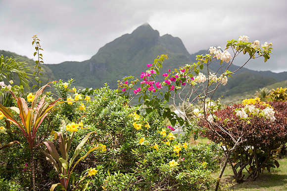 Walking through Opoa Village