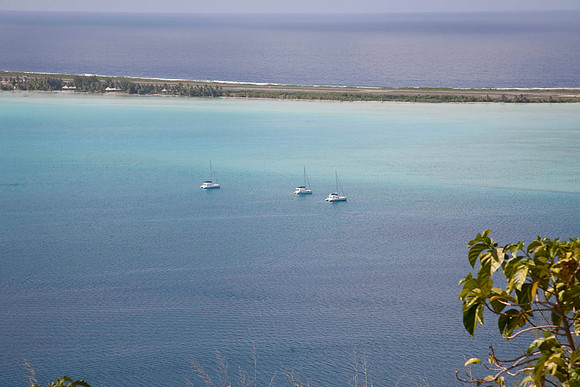 Our boats... Dim Sum, Vanira II and Go Zone